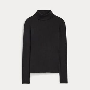 Everlane The Luxe Rib Turtleneck (BNWOT)